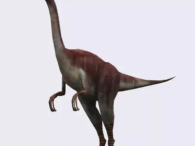 3DRT - Dinosaurs - Compsognathus Low-poly 3D model