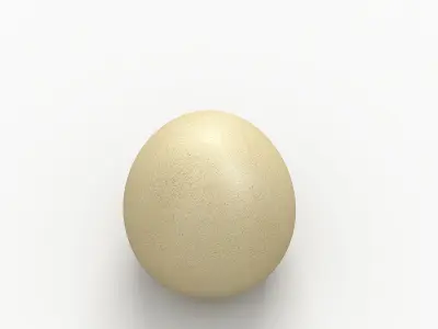 Egg 3D Model 3D model