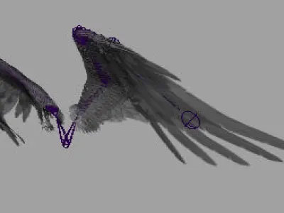 Angel Wings  3D model