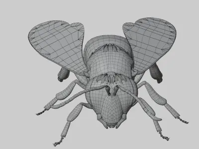 3D animated bee Low-poly 3D model