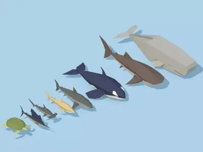 Low Poly Pirate Tropical Sea Fauna Animals Asset Pack Low-poly 3D model