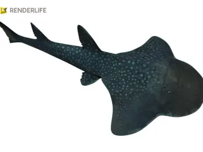 Angel Shark with animation 3D model