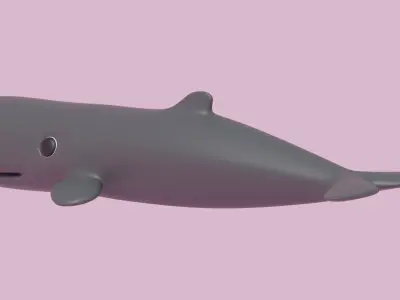 Cartoon Sperm Whale 3D model