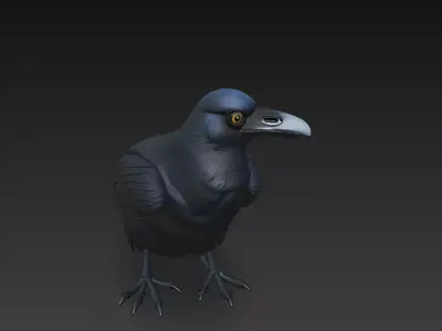 Crow Black Realistic 3D Model Basic - Low Poly Realistic Low-poly 3D model