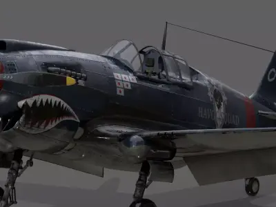 P40 WARHAWK 3D model