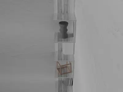 Corner shelf snake 3D model