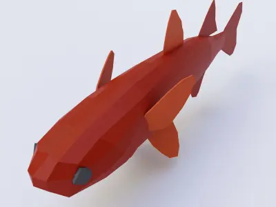 Grass carp fish low poly 3d model  Low-poly 3D model