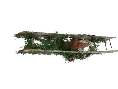 Damaged Rusted Aircraft 3D model