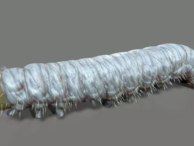 Caterpillar Low-poly 3D model