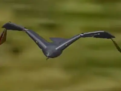 German Iron Eagle - Der deutsche Adler 3D model