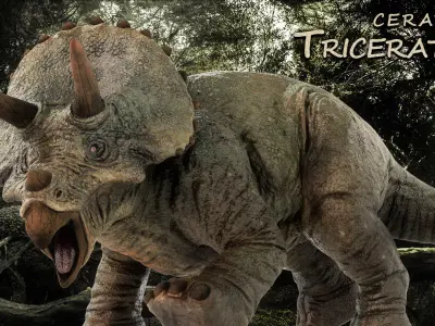 Triceratops Low-poly 3D model