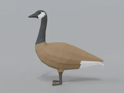 Low Poly Cartoon Canada Goose Low-poly 3D model