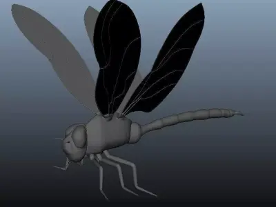 Dragonfly model - no rigging - no texture 3D model