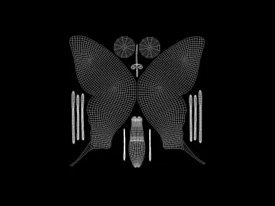 BFLY-003 Butterfly Low-poly 3D model