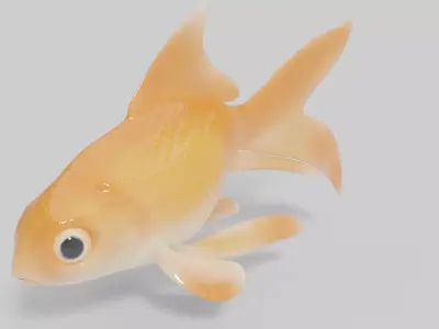 Gold Fish 3D Model Low-poly 3D model
