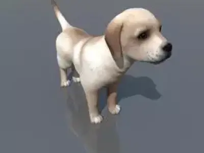 Labrador dog Free 3D model