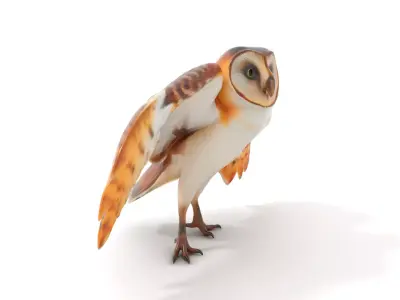 Elegant Owl model pack Low-poly 3D model