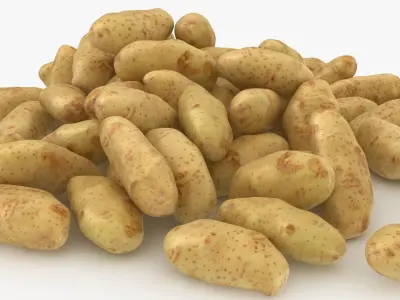 Potato Pile 3D model
