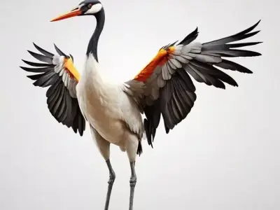 Realistic Crane Bird 3D Elegant Waterfowl Spread Wings Low-poly 3D model