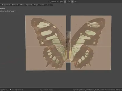 BUTTERFLY ANIMATION Low-poly 3D model
