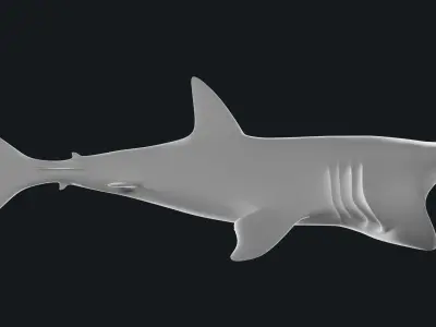 Lowpoly Basking Shark Low-poly 3D model