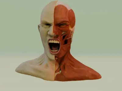 the anatomy of rage 3D model