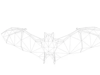 Cartoon Lowpoly Bat Illustration Low-poly 3D model