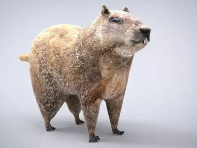 GROUNDHOG Low-poly 3D model