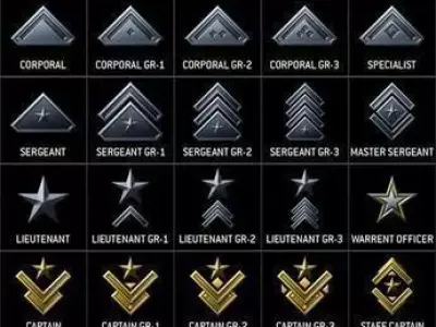 Rank insignia 3D model