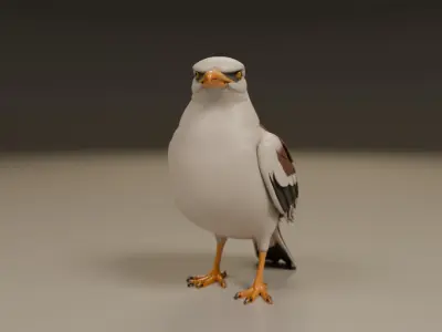 seagull 3D print model