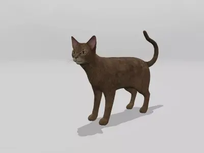 Abyssinian Cat Full Rigged Low-poly 3D model