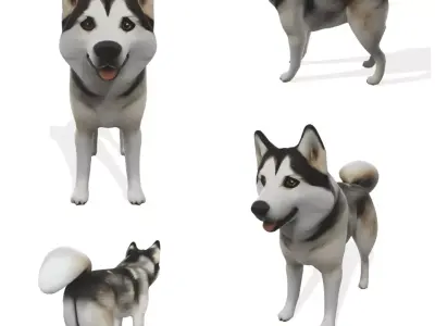 Loyal Stylized Siberian Husky 3D model