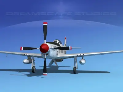 P-51D Mustang Fort Meyers 3D model