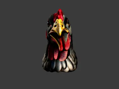 Chicken Animal Head Low-poly 3D model
