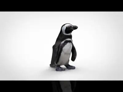 PENGUIN Low-poly 3D model