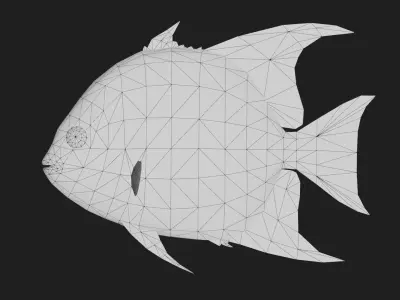 Spadefish Low-poly 3D model