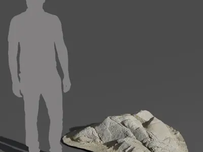  Small Cracked Beach Rock Model 