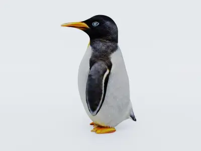 Penguin Free 3D model