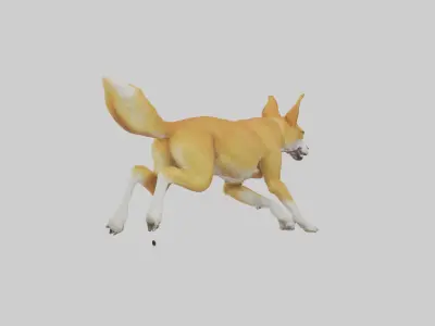 Dingo dog running model Low-poly 3D model