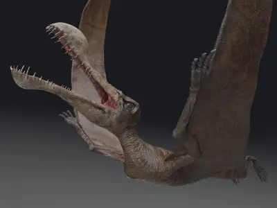 Dinosaur Tropeognathus dinosaur flying Low-poly 3D model