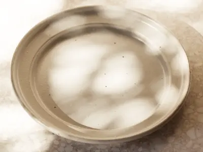  Speckled Ceramic Plate Model, White 