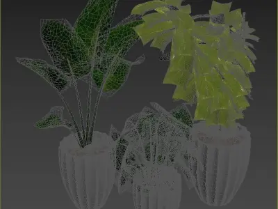 Plant Collection Rpm 08 3D model