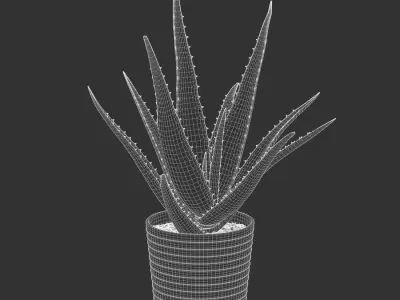  Aloe Vera Succulent Potted Plant Model 