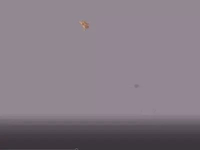 Wood Debris Fall 02 Low-poly 3D model