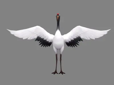 Cartoon White Crane - Red crowned Crane Low-poly 3D model