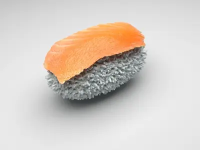 Shake Nigiri Salmon Sushi 3D model