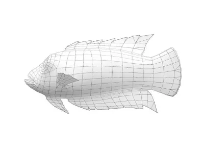 Ornate Climbing Perch Fish Animated Low-poly 3D model
