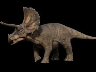 Triceratops dinosaur Low-poly 3D model