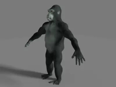 gorilla Low-poly 3D model