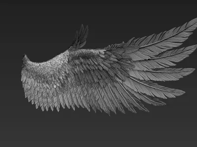 Wings Realistic pair of colorful feathered 3D model